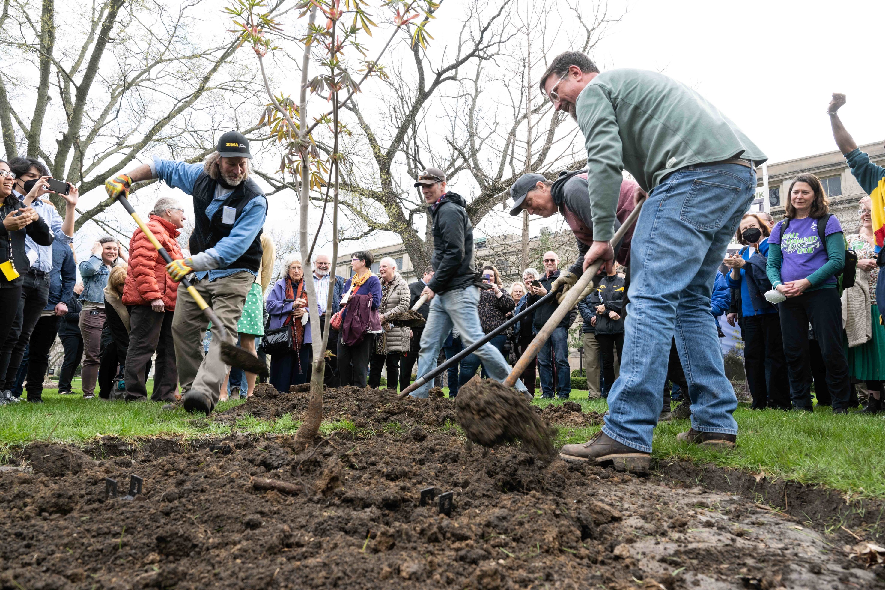 Tree Planting