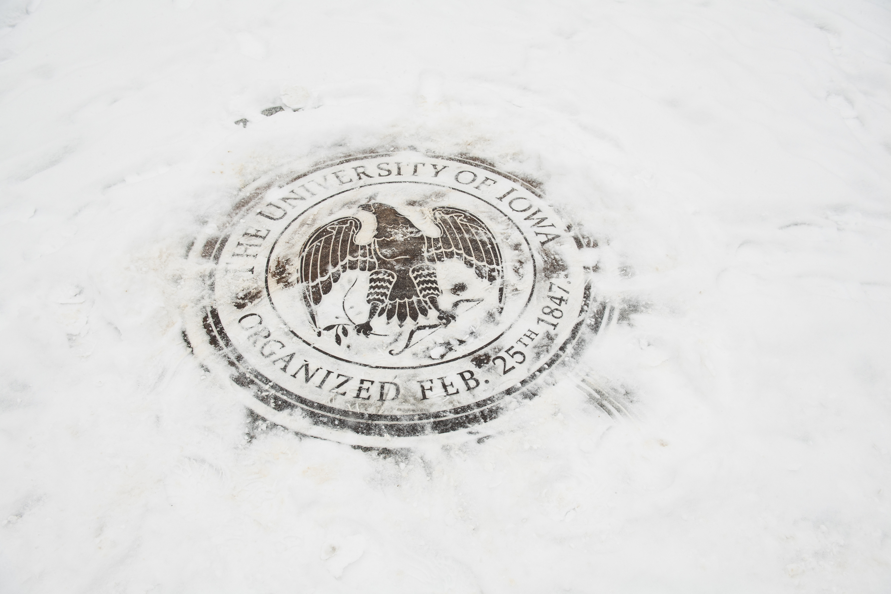 Snow covering the University of Iowa emblem on the ground cover.
