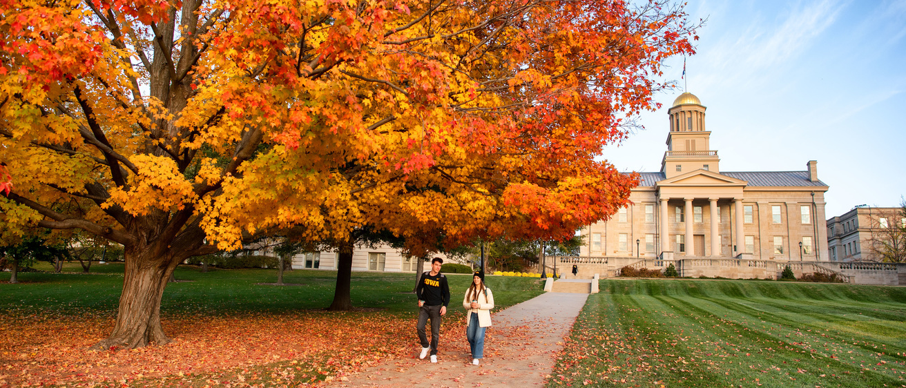 A picture of a tree in bloom at the University of Iowa